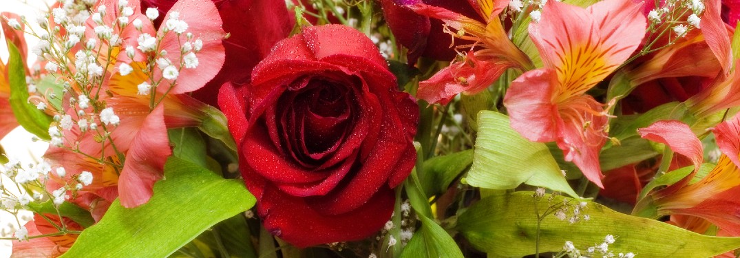 Close up of a bouquet of flowers
