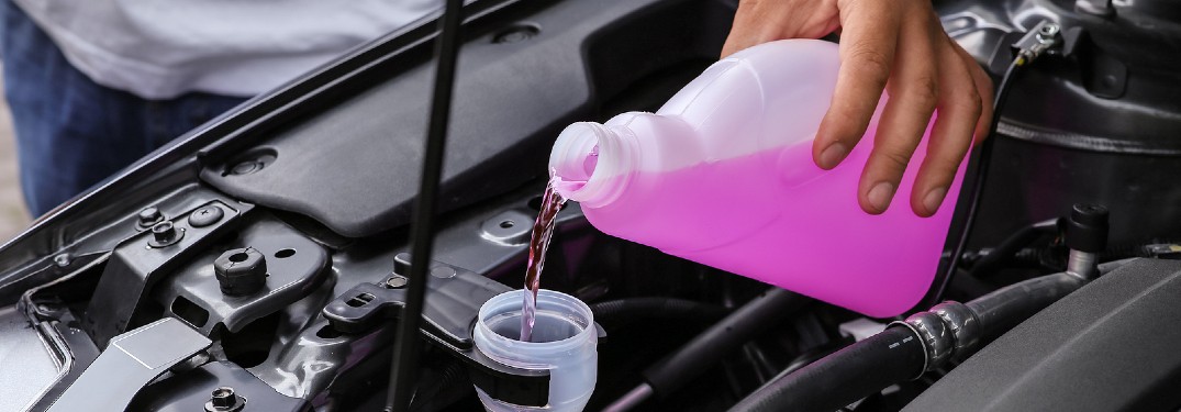 Pink coolant being poured into the coolant reservoir