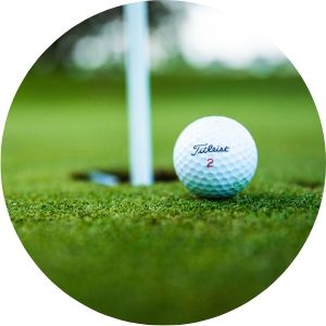 Close Up of Titleist Golf Ball Next to a Hole
