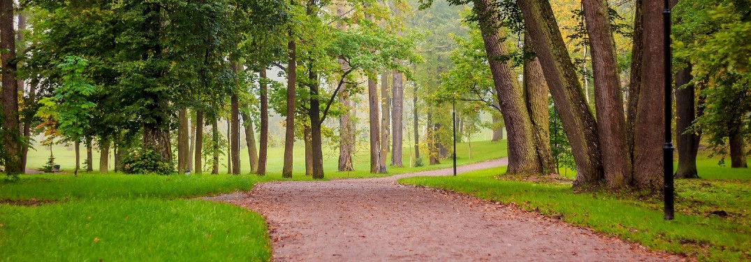 park trail