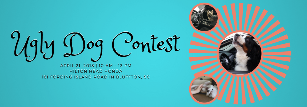 dog photos over an orange sunburst pattern with text that says "Ugly Dog Contest April 21, 2018 10 am - 12 pm Hilton Head Honda 161 Ford Island Road in Bluffton, SC" all over a sky blue background