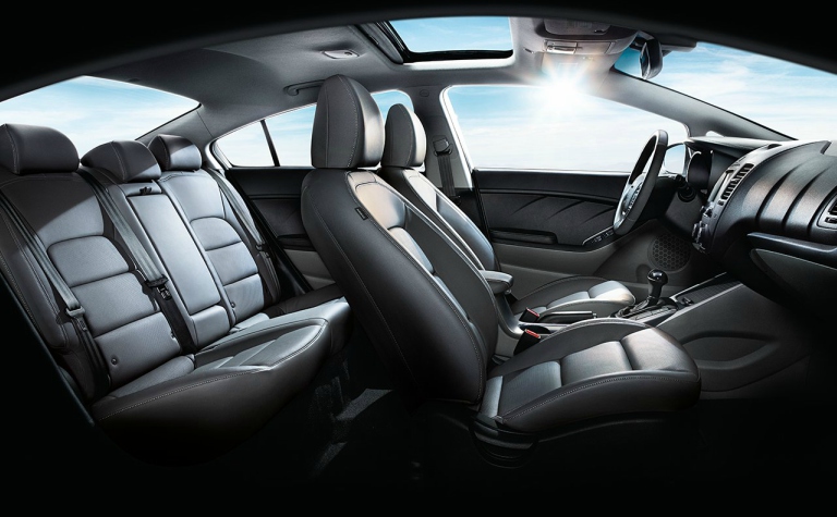 2018 Kia Forte seating side view
