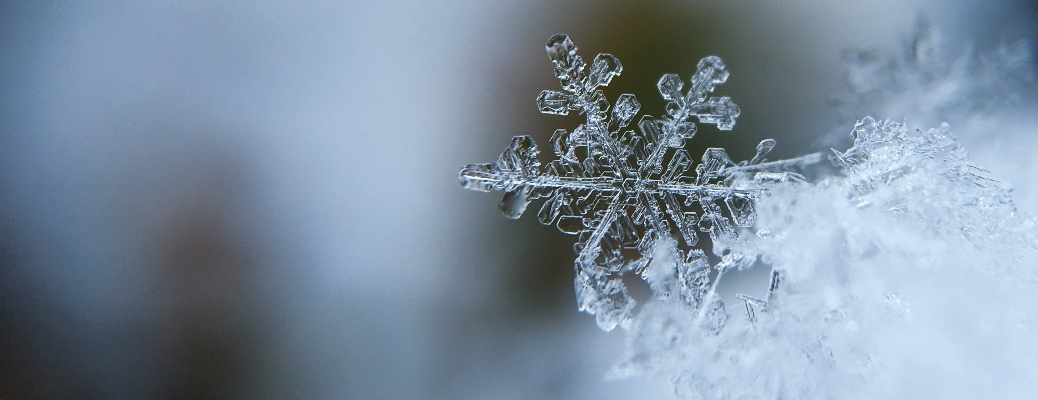 Close up of a snowflake