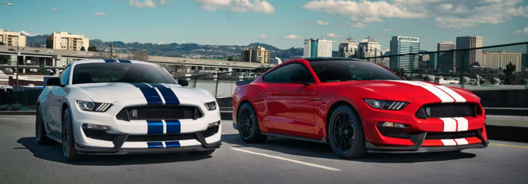 Front exterior view of 2 2018 Ford Mustang Shelby GT's