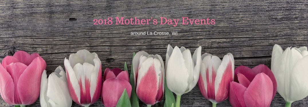 2018 Mother's Day Events around La Crosse, WI , text on an image of pink and white roses lined up on a wooden table