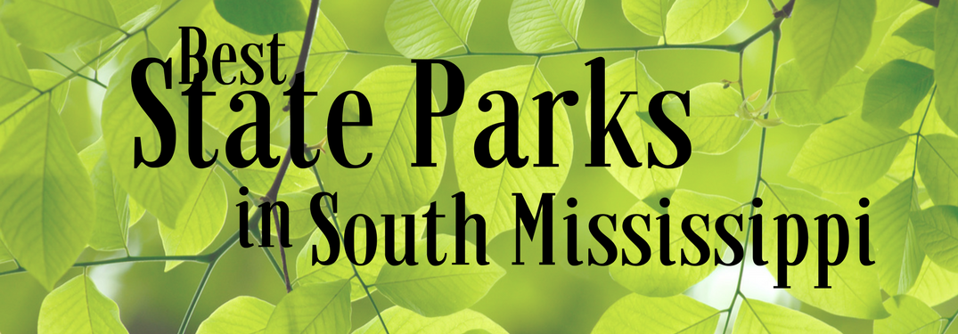 Best State Parks in South Mississippi on a leafy background