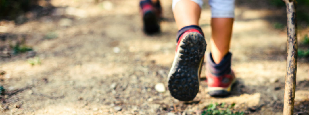 children hiking through the mountains on a dirt path with wood walking sticks