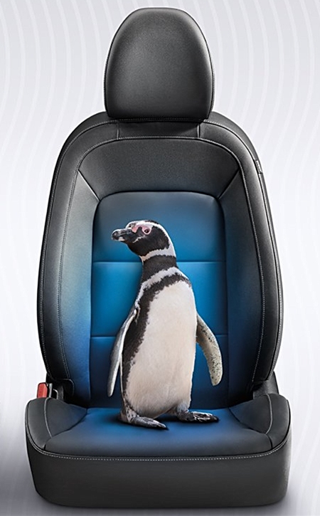 2018 Kia Forte Seat With A Penguin O Vandevere 2018 Kia Forte Seat With A Penguin